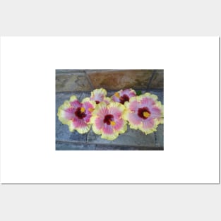 Hibiscus Beauties Posters and Art